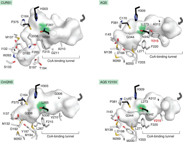 Figure 6.