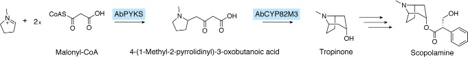 Figure 9.