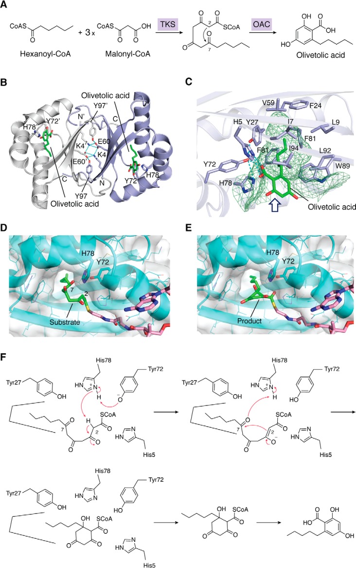 Figure 10.