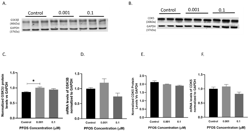 Figure 11.