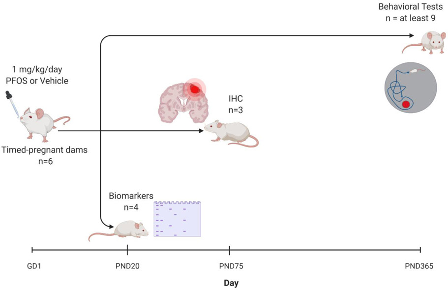 Figure 1.