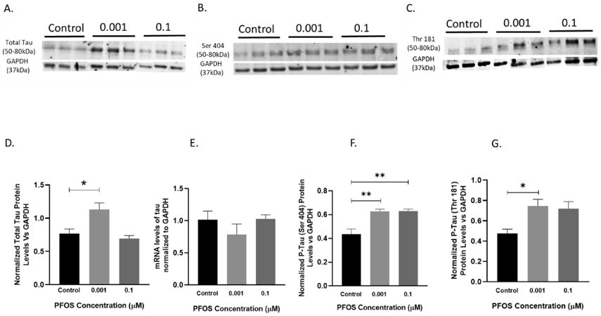 Figure 10.