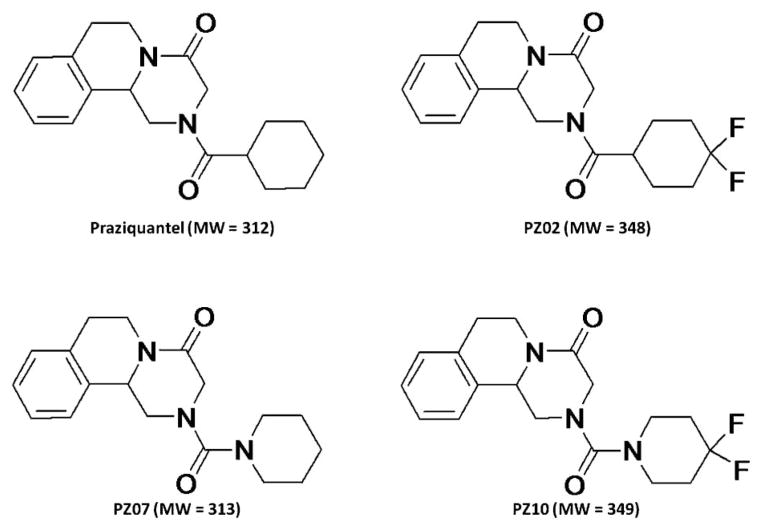 Fig. 1