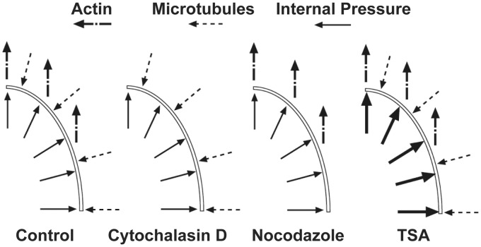 Figure 8