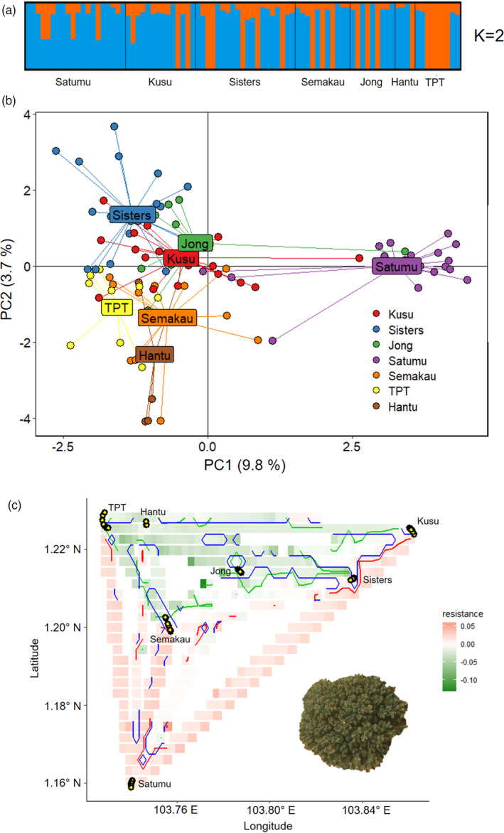 FIGURE 3