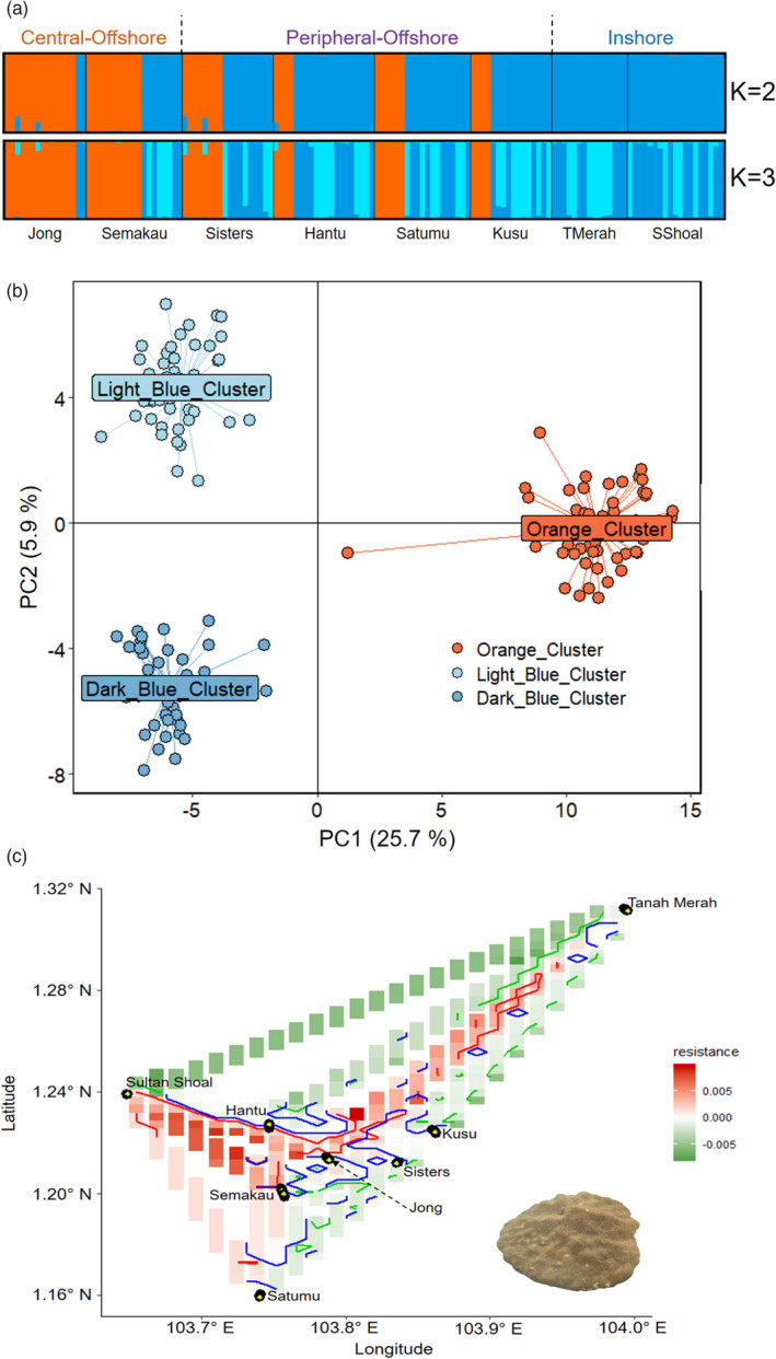 FIGURE 2