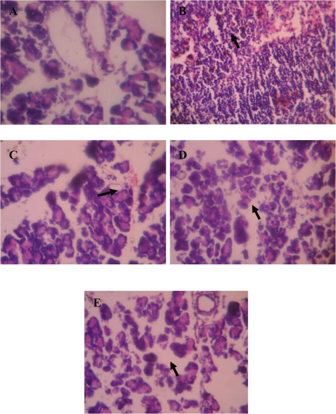 Fig. 10