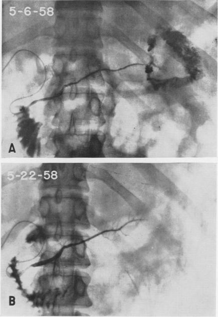 Fig. 8.