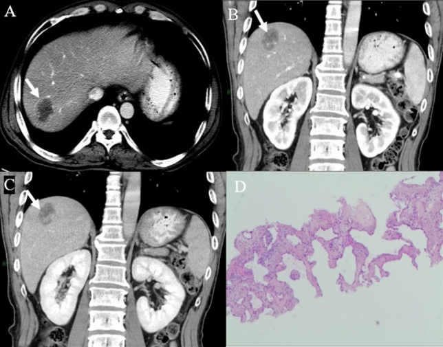 Fig. 5