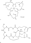 FIG. 1.