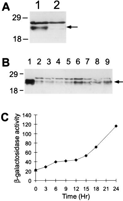 FIG. 9.