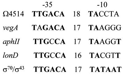 FIG. 10.