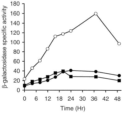 FIG. 8.