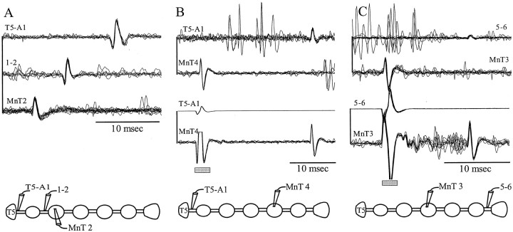 Fig. 11.