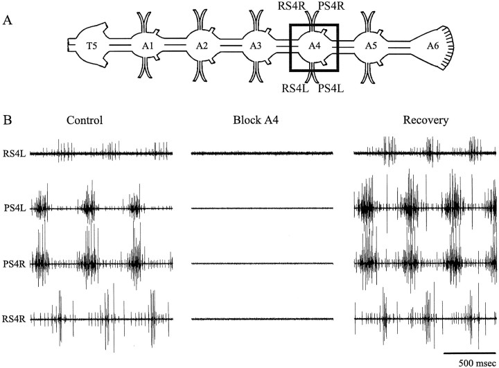 Fig. 1.