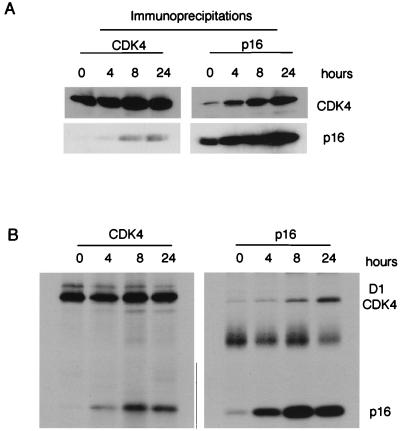 FIG. 7