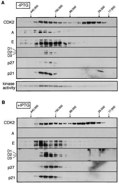 FIG. 6