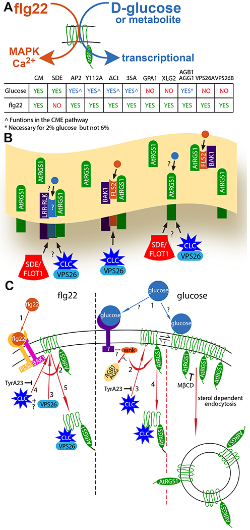 Fig. 6.