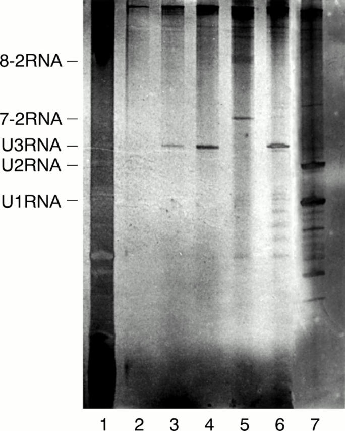 Figure 1  