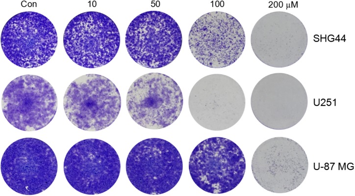 FIGURE 3