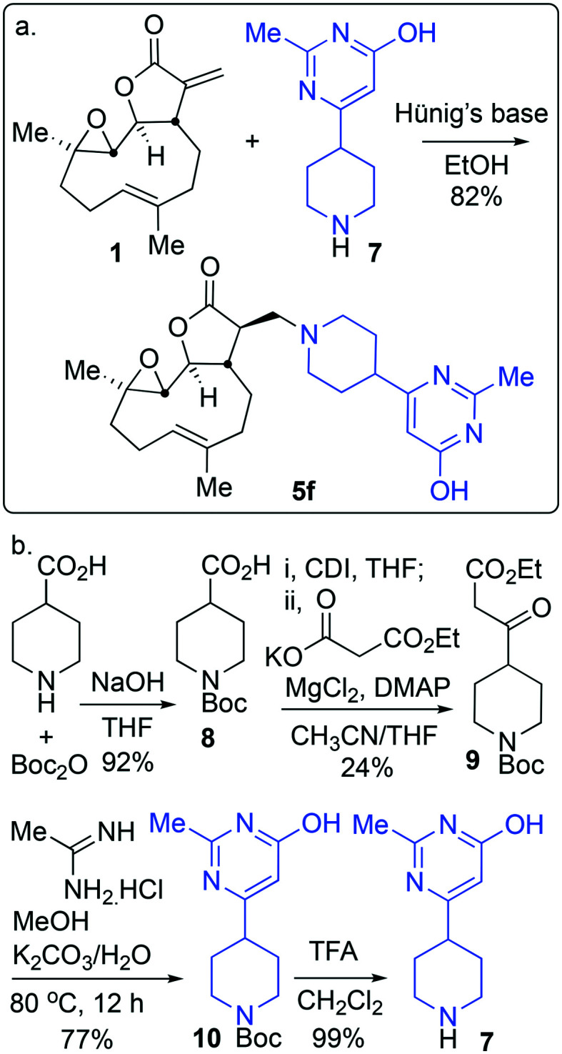 Scheme 2