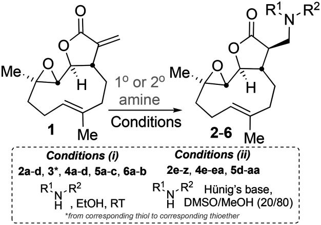 Scheme 1