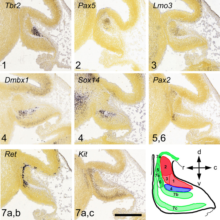 Fig. 14