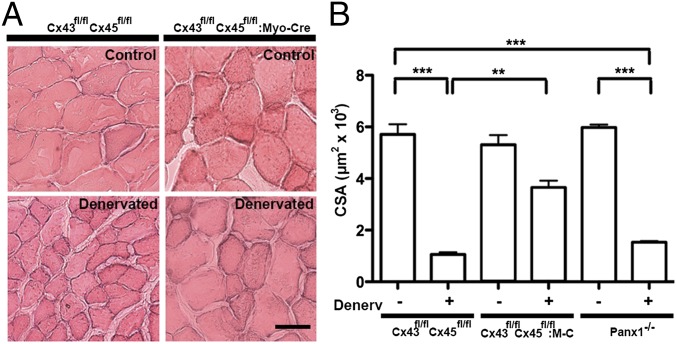 Fig. 4.