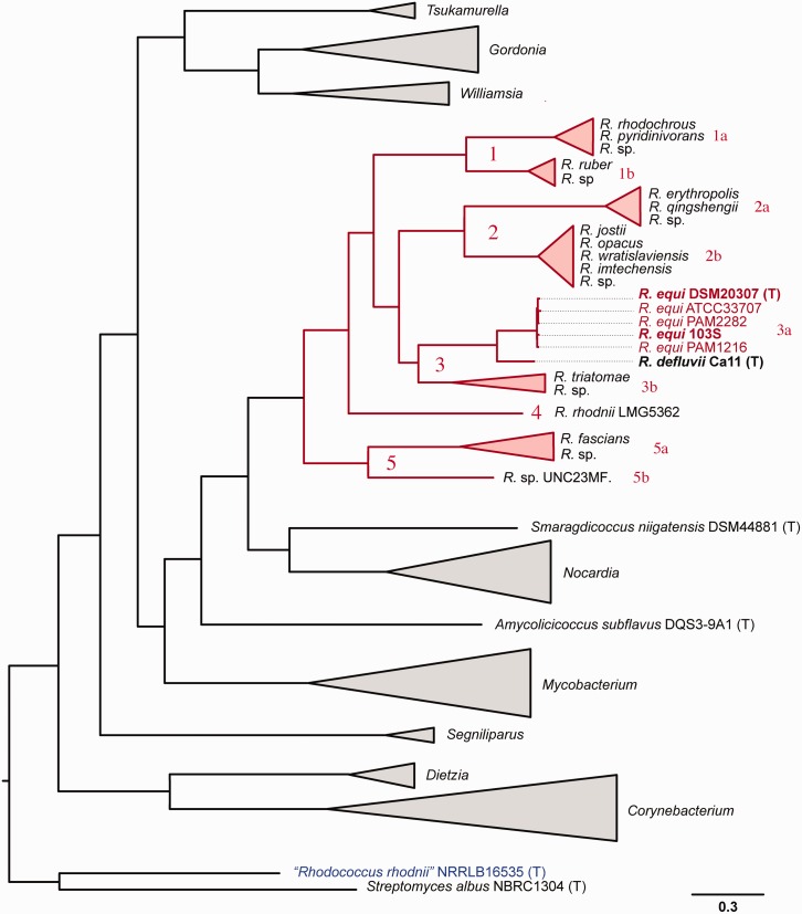 Fig. 4.—