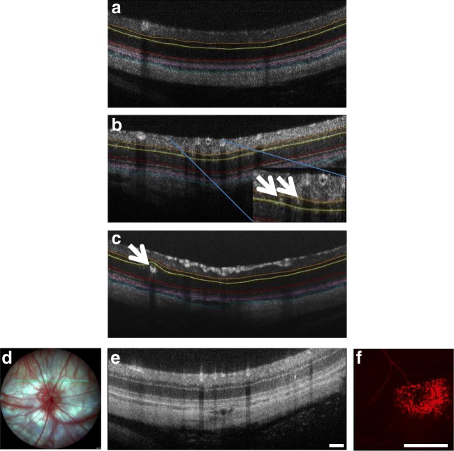 Fig. 7