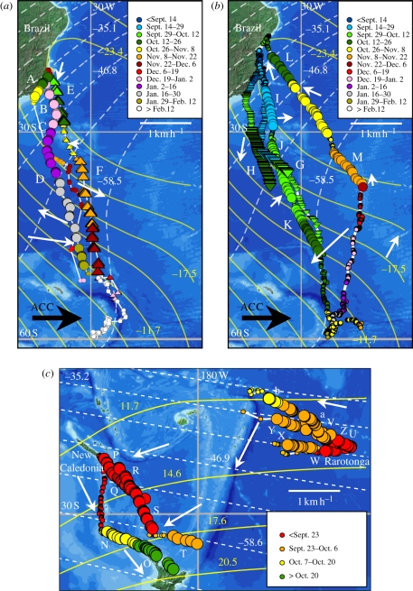 Figure 1.