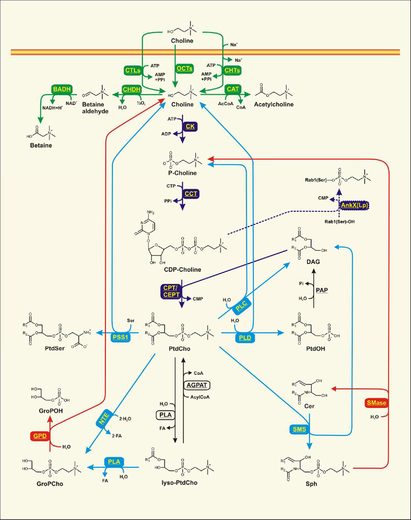 Fig. 2