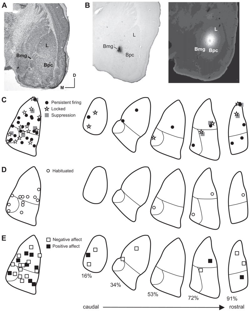 Fig 11