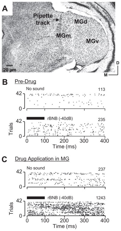 Fig 10