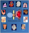 Figure 12