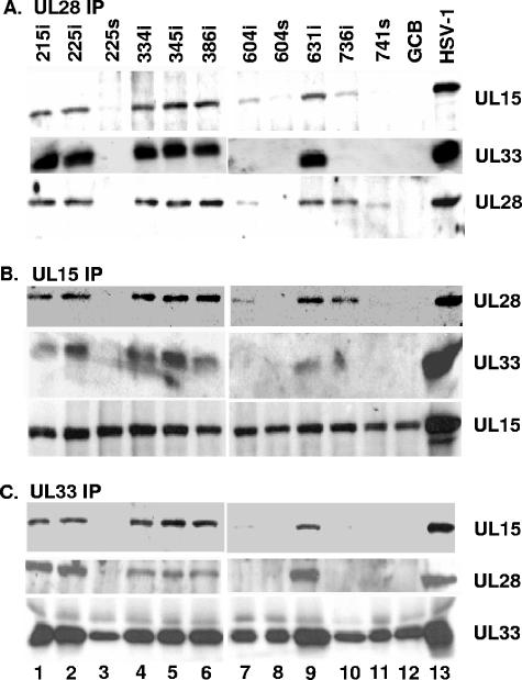 FIG. 6.