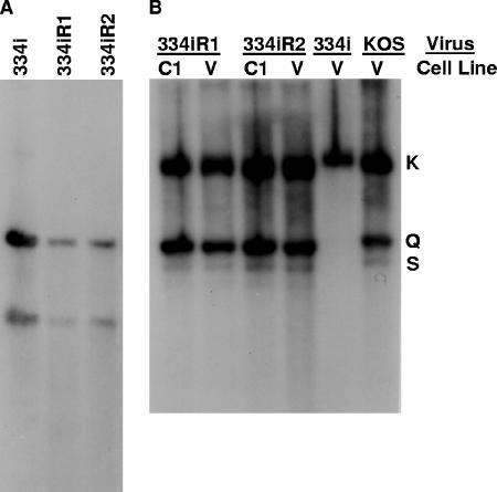 FIG. 8.