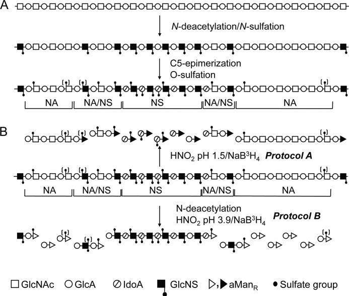 FIGURE 1.