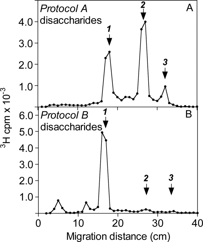 FIGURE 3.