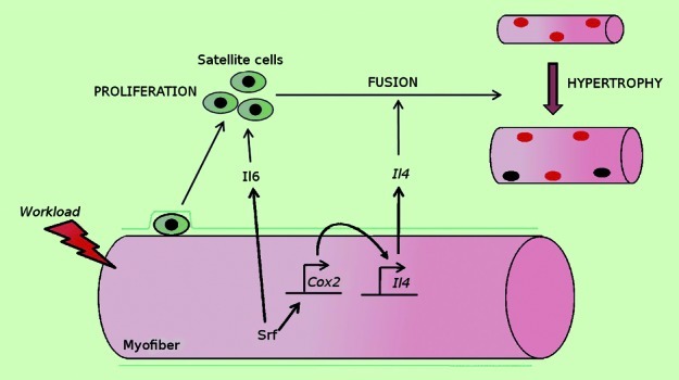 graphic file with name bioa-2-88-g1.jpg