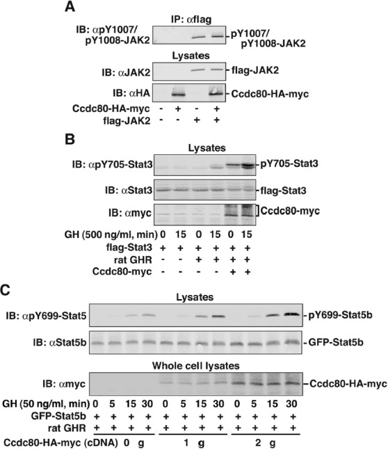 Figure 6.