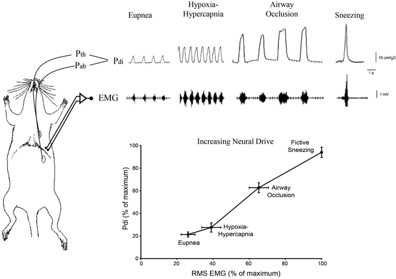 Figure 1: