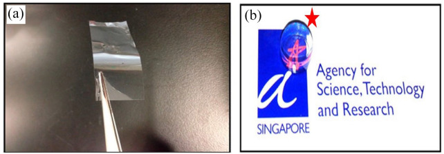 Figure 7.