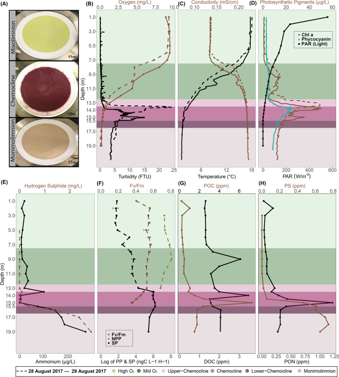 FIG 1