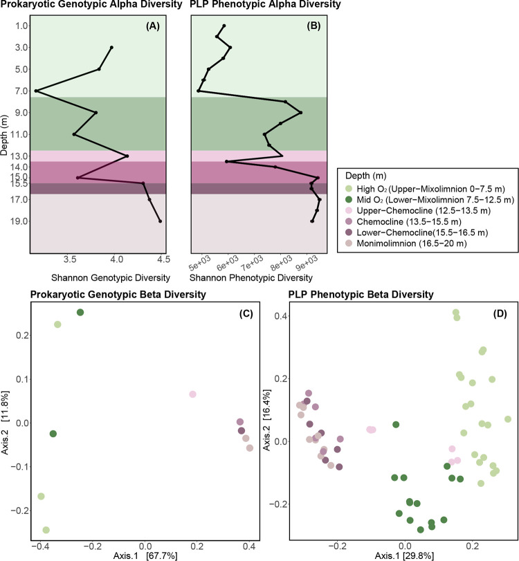 FIG 6