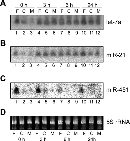 Fig. 9.