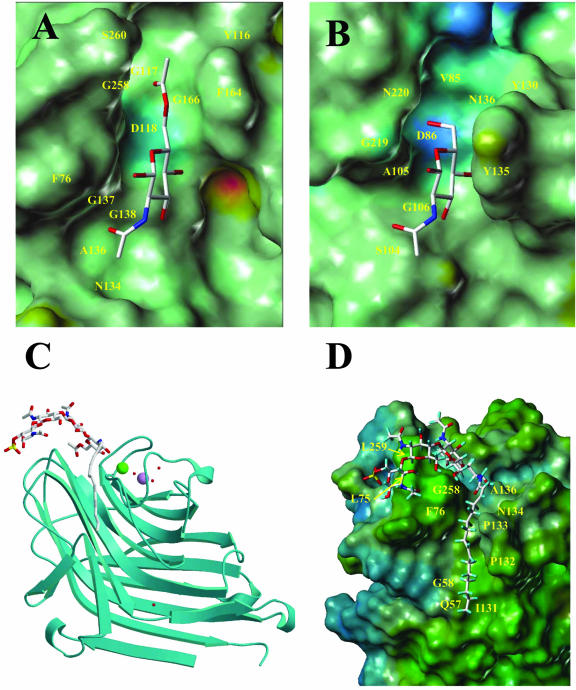 Figure 4.