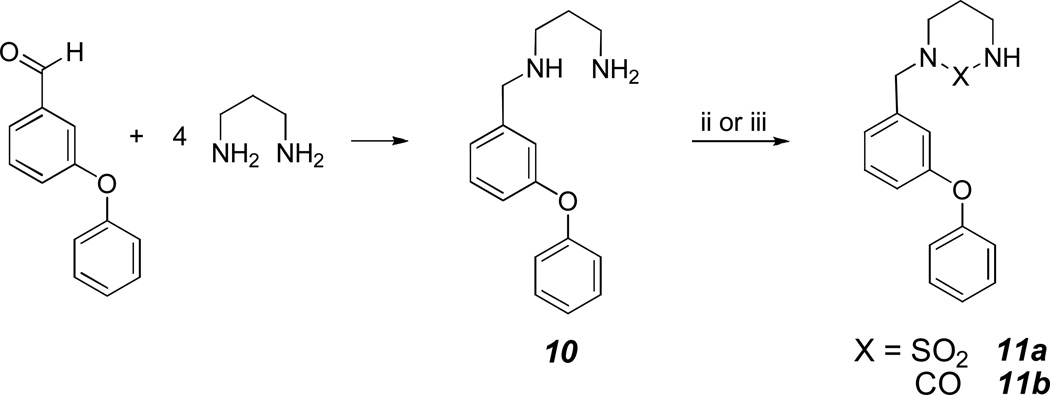 Scheme 2