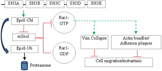 Fig. 9