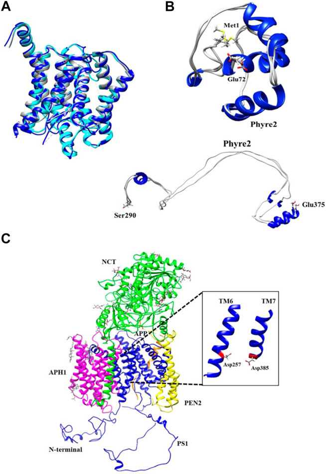 FIGURE 2